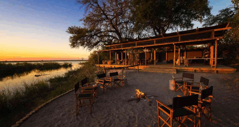 Best Luxury Safari Companies in 2025: Top-Rated Safari Experiences for Unforgettable African Adventures