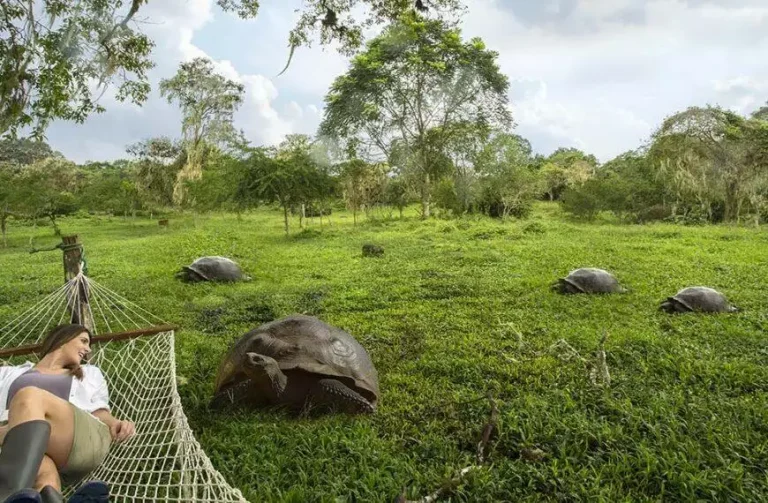 Best Luxury Galapagos Tours in 2026: Ultimate Guide to Premium Island Expeditions