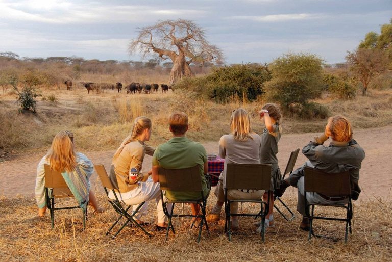Best Luxury Family Safari Holidays in 2026: Ultimate Guide to Premium African Wildlife Adventures