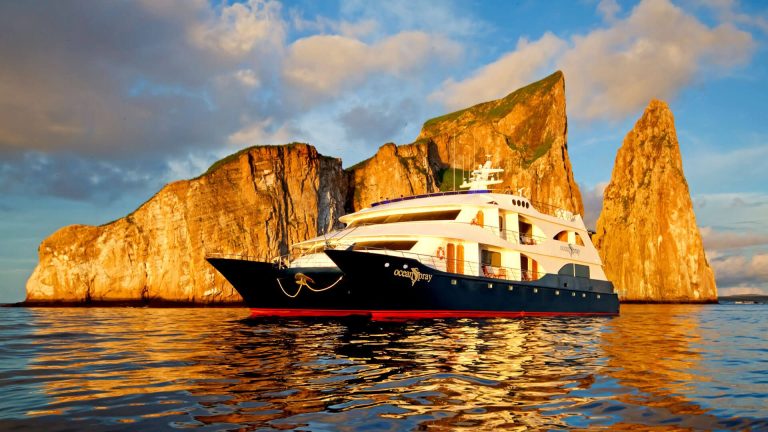 Best Luxury Catamaran Galapagos Cruises in 2026: Ultimate Guide to Premium Island Adventures