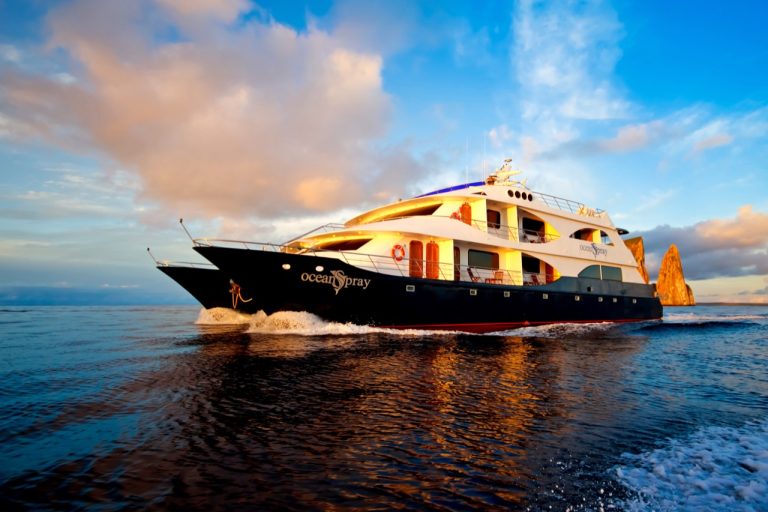 Best Galapagos Luxury Cruise Packages in 2026: Ultimate Guide to Premium Island Expeditions