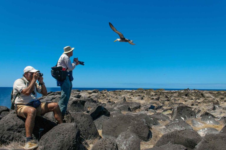 Best Galapagos Luxury Trip Packages in 2026: Ultimate Guide to Exclusive Island Adventures